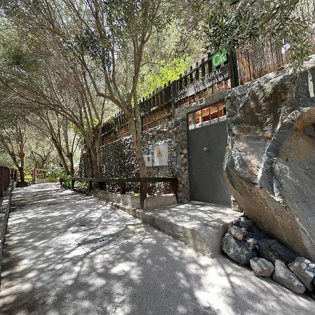 إيخينيو Casa Rural Guayadeque Ca'Juani المظهر الخارجي الصورة