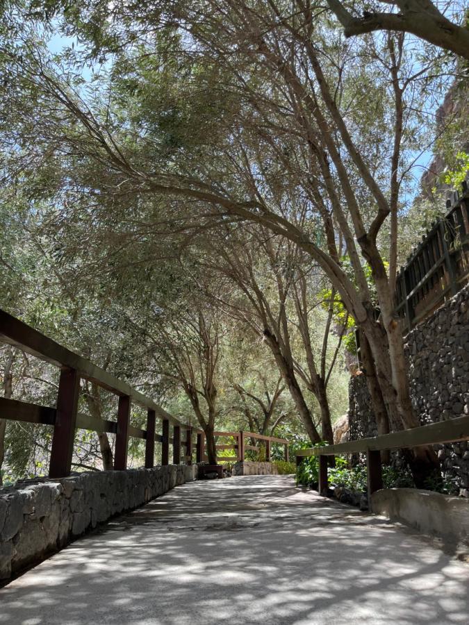 إيخينيو Casa Rural Guayadeque Ca'Juani المظهر الخارجي الصورة